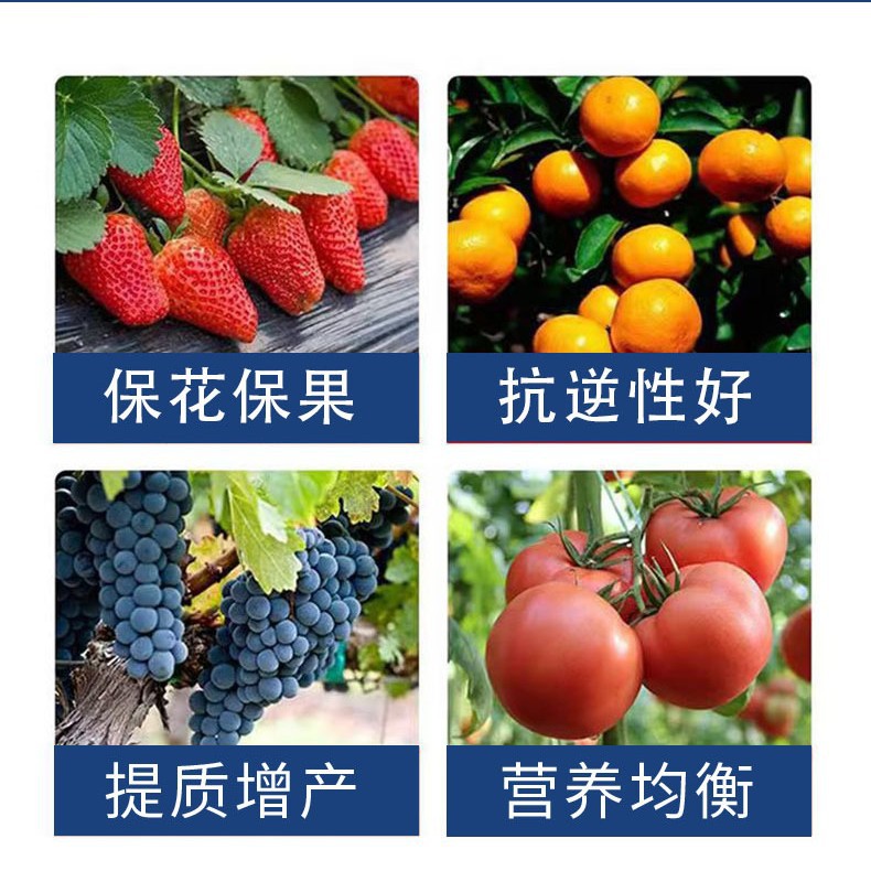 源头厂家硼钼果蔬豆类护花护果专用肥 硼钼合剂水溶肥助力农业高效增产