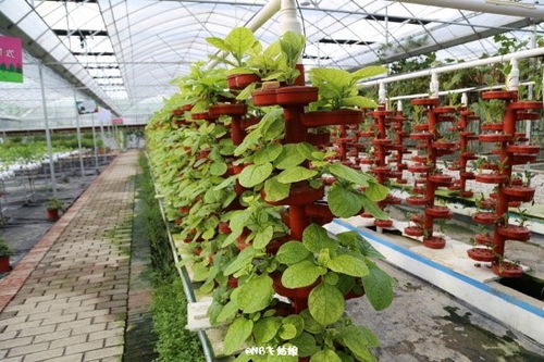 浙江省诸暨市现代农业产业园 果蔬种植引领乡村振兴的实践范例