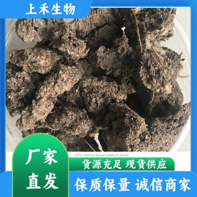 如何利用果蔬花盆栽种植与发酵纯羊粪科学调节土壤氮素——助力耕地整改项目高效增产
